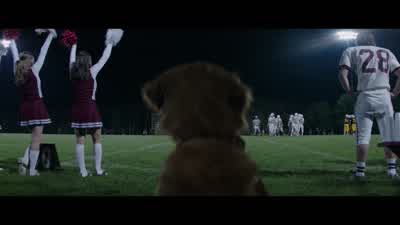 First and ten for the tigers. - A Dog's Purpose