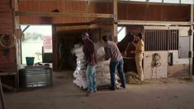 First Terennial makes
a genetically modified seed - Bluff City Law