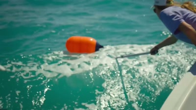 'First, the sharks are caught - A Year on Planet Earth