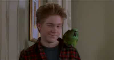 First the Stephans. - Home Alone 3