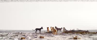 First-things-first: let's open his helmet so he can breathe some air if he's alive, then see if we can pull that hunk of broken propeller-clutch out of the side of his head if it doesn't kill him. - Isle of Dogs