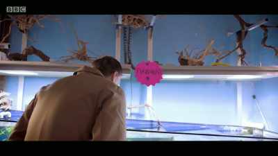 ♪ Fish, fish, fish, fish, fish - Mandy