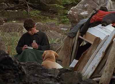Fishing lines and hooks. - Far from Home: The Adventures of Yellow Dog