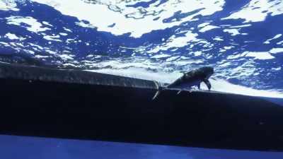 [fishing rod reeling back] - Deadliest Catch: Bloodline