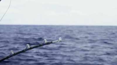 [fishing rod reeling] - Deadliest Catch: Bloodline