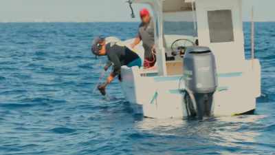 Fishing study have showed - Sharkwater Extinction