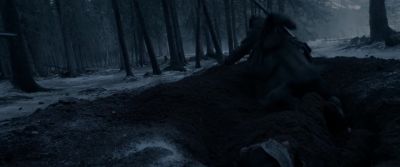 Fitz What are you doing - The Revenant
