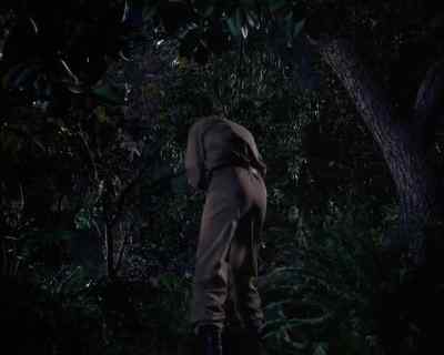 [ Fitzhugh ]
Help! Help! - Land of the Giants