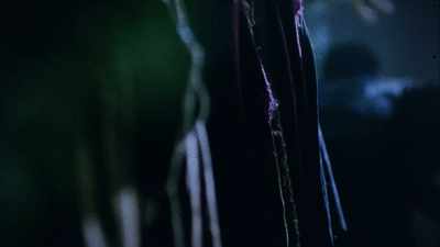 - Five days later, Hugh Glass
is not dead. They get scared. - The UnBelievable with Dan Aykroyd