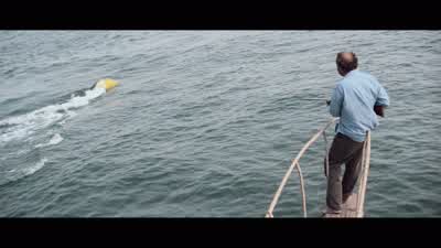 Hold your course. - Jaws