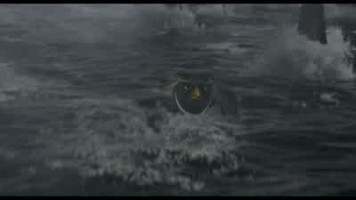 Five... four... - Surf's Up