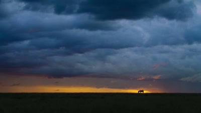 'Five months ago, - A Year on Planet Earth