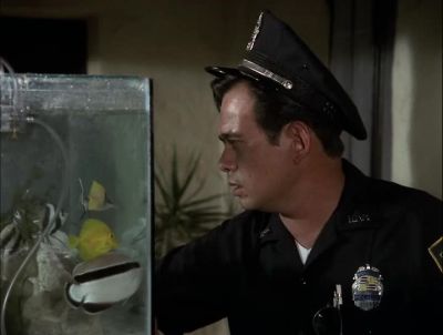 FIVE YEARS ON THE FORCE... - Hawaii Five-0