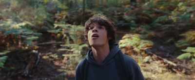 (Fix growls, screeches) - The Animal Kingdom