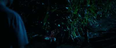 (Fix growls, screeches) - The Animal Kingdom