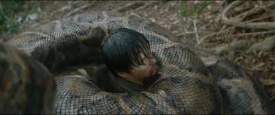 Fix it! Kill them! - Anaconda