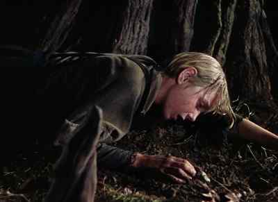 Flag... - The Yearling
