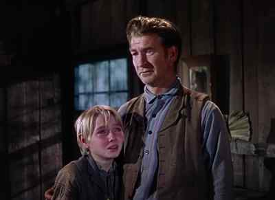 "Flag." - The Yearling