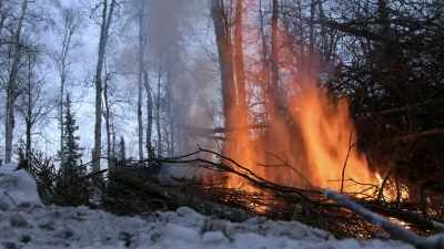 [flames blazing] - Life Below Zero: Next Generation