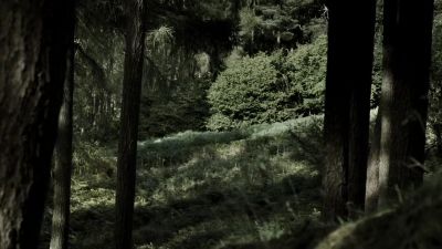 (flames crackle) - Vikings