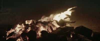[flames crackle] - Gold