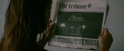 Flamingo. Flamingo. - A Family Man