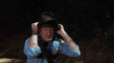 Flash, it's gonna
hit the tree! - The Dukes of Hazzard