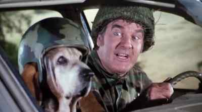 Flash. - The Dukes of Hazzard