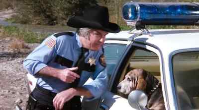 Flash, there's the van
that Cletus was talking about. - The Dukes of Hazzard