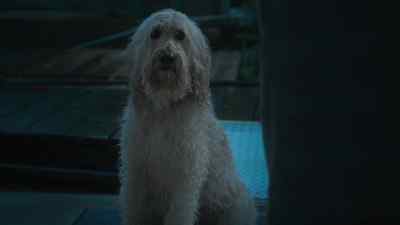 Flash those brown eyes
all you want, - Happy Howlidays