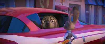 FlashFlash Hundred yard dash - Zootopia
