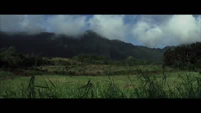 Flea, Lake, status? - Tears of the Sun