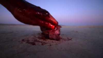 (flesh and blood squishing) - The Outwaters