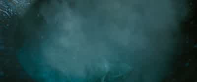 Flesh of the servant......willingly sacrificed. - Harry Potter and the Goblet of Fire