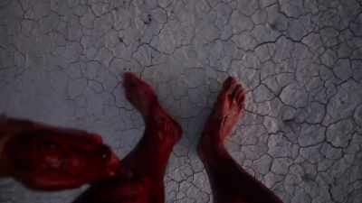 (flesh ripping) - The Outwaters