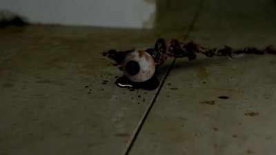 [flesh tearing]
[blood splattering] - Death Metal