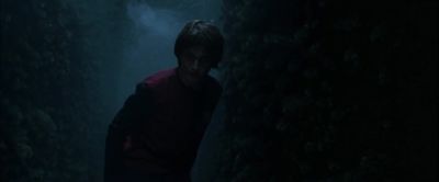 Fleur? - Harry Potter and the Goblet of Fire