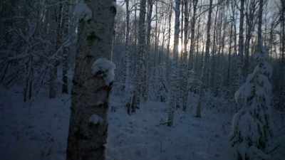 Flexibility in a
brittle cold environment, - Life Below Zero: Next Generation