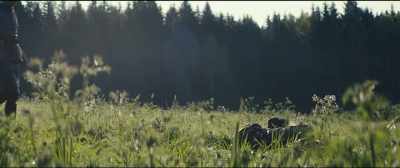 (flies buzz) - Tom of Finland