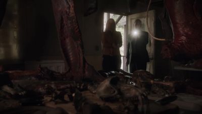 (flies buzzing) - NCIS