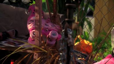 (flies buzzing) - CSI: Miami