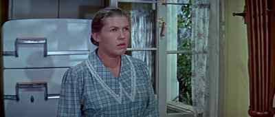 - Flies, madame?
- Yes. Close the windows. - The Fly