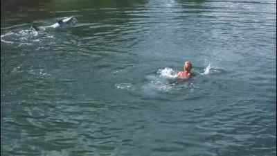 Flipper, come here! - Flipper