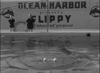 Flippy has been taught
to retrieve objects on command. - Revenge of the Creature