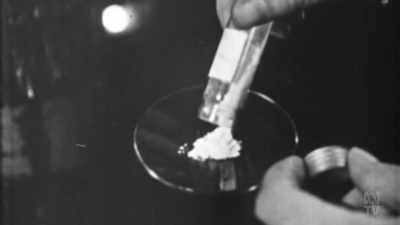 Florey's team was now ready
to test their penicillin - Aussie Inventions That Changed The World