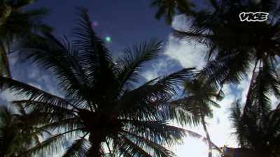 Florida's a completely
different environment for me, - I Was a Teenage Felon