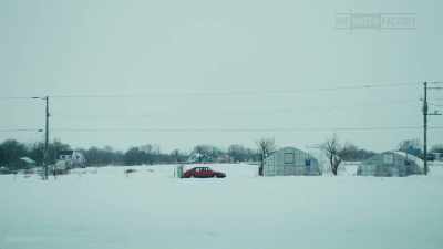 FLOWERS AND VEGETABLES FOR SALE - Drive My Car