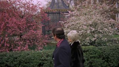 Flowers are pretty aren't they - Double Agent 73