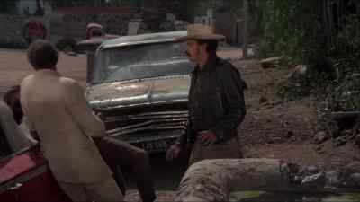 Flowers, too! Well, why not? - Bring Me the Head of Alfredo Garcia
