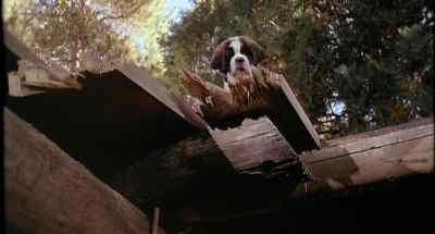 - Floyd, go check on Missy.
- She's fine. - Beethoven's 2nd
